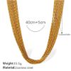 Picture of Euro&US-Ins multi-layer necklace set—high-end look in stainless steel